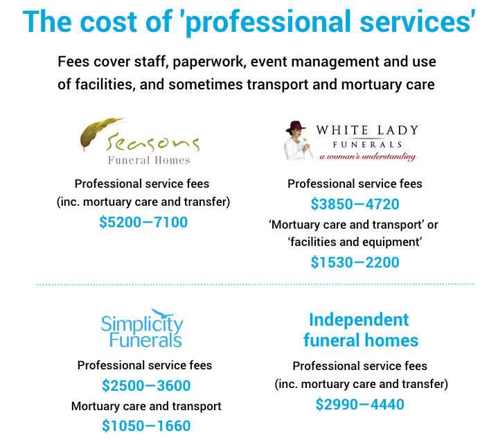 the cost of professional service image