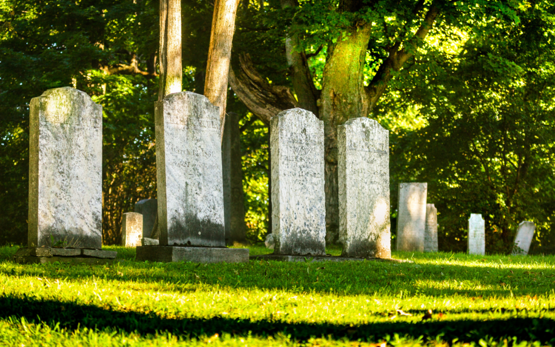 A Comprehensive Guide to Burial Plot Costs in Australia